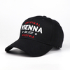 Customized Logo Panel Austria Vienna Souvenir Sports Snapback Baseball Hat Caps